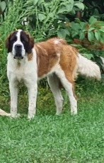 No Limit Girl  vom baronenschloss