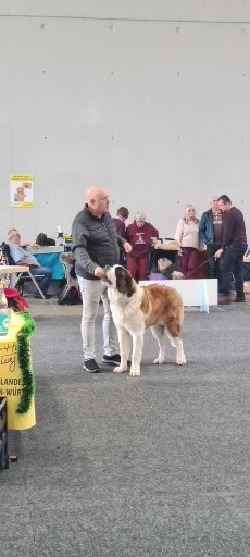 Amadeus Mozart L'abbaye de Noirlac de l abbaye de noirlac